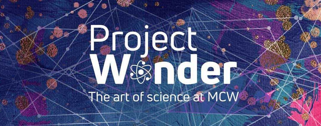 Project Wonder: The Art of Science at the Medical College of Wisconsin