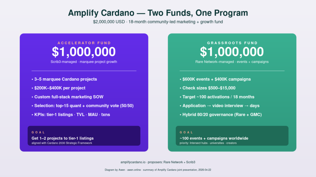 Diagram showing the Amplify Cardano M proposal split into a M Accelerator Fund (Scrib3-managed) and a M Grassroots Fund (Rare Network-managed)